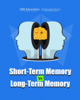 STM vs LTM.pdf